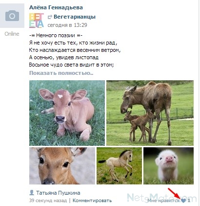 chto dayut lajki vkontakte 12