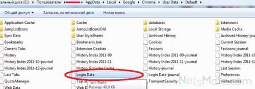 Файл паролей в Chrome