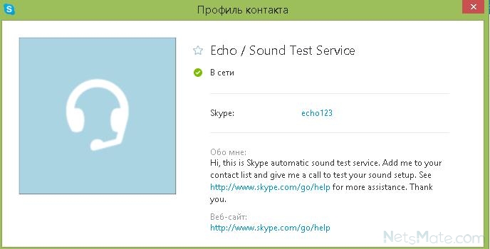 what is skype echo sound test service